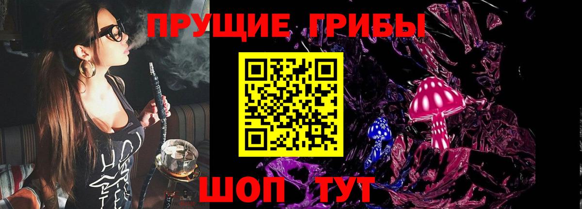 Гусиноозёрск  Псилоцибиновые грибы Cubensis  Галлюциногенные грибы MAGIC MUSHROOMS  Вход с VPN 