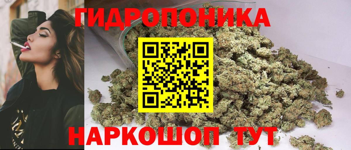 Бошки Шишки марихуана Гусиноозёрск